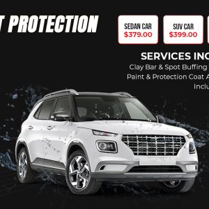 Car Paint Protection