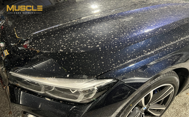 How to Clean Mud and Stains from Your Car After Heavy Rain